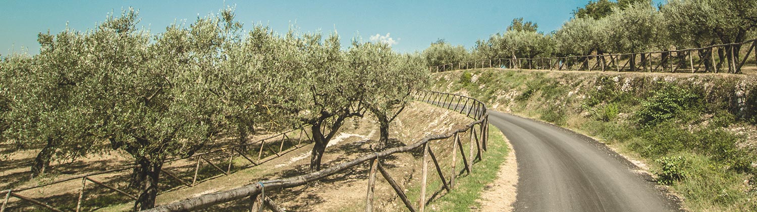 azienda